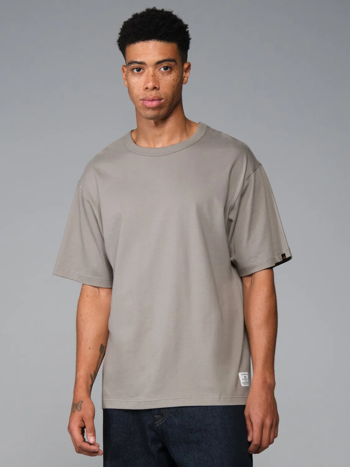 Alpha Industries Essential Destination tricou gri bumbac imprimat