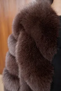 Mareus 503 haina vulpe Cocoa Brown transformabila