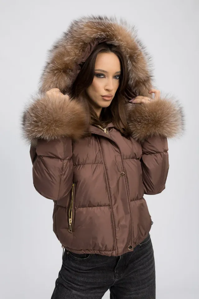 Mareus Mocha Glow 459 geacă scurtă damă cu glugă 60 cm